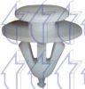 OPEL 0174864 Clip, trim/protective strip